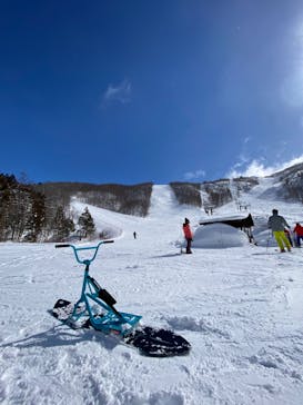 白馬岩岳スノーフィールドに投稿された画像（2022/2/19）