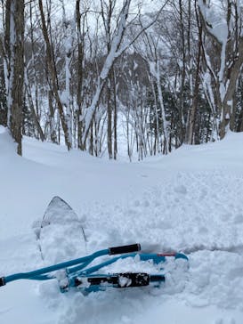 白馬岩岳スノーフィールドに投稿された画像（2022/2/19）