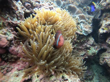 武藤潜水に投稿された画像（2022/2/19）