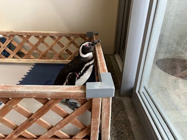 大分マリーンパレス水族館 「うみたまご」に投稿された画像（2022/2/19）