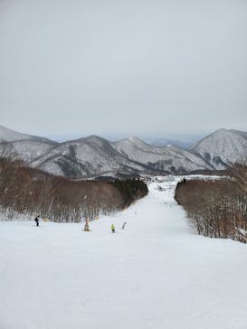 スプリングバレー仙台泉スキー場に投稿された画像（2022/2/19）