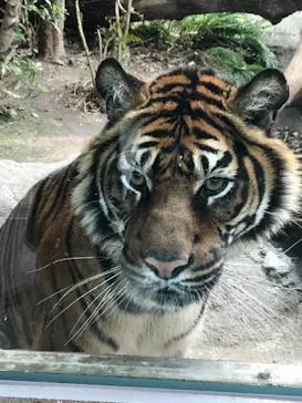 神戸どうぶつ王国に投稿された画像（2022/2/19）