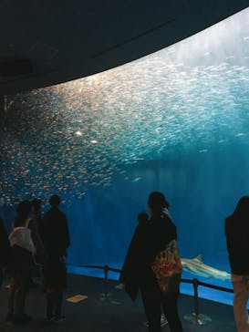 名古屋港水族館に投稿された画像（2022/2/19）