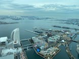 横浜ランドマークタワー 69階展望フロア スカイガーデンに投稿された画像（2022/2/19）