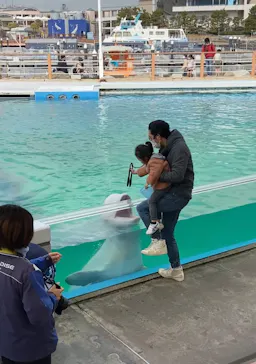 横浜・八景島シーパラダイスに投稿された画像（2022/2/19）