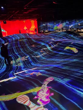 森ビル デジタルアート ミュージアム：エプソン チームラボボーダレスに投稿された画像（2022/2/19）