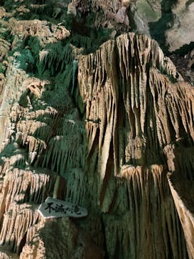 あぶくま洞に投稿された画像（2022/2/19）