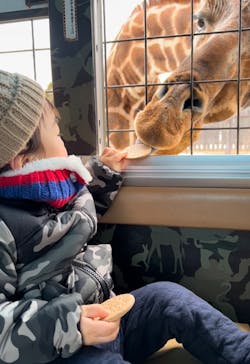 那須サファリパークに投稿された画像（2022/2/19）