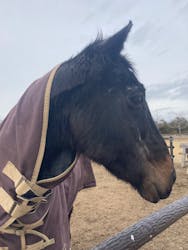 ヘレナ・ストロベリーランドに投稿された画像（2022/2/19）