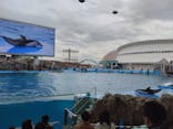名古屋港水族館に投稿された画像（2022/2/19）