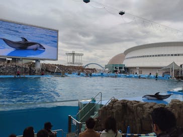 名古屋港水族館に投稿された画像（2022/2/19）