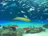 サンシャイン水族館に投稿された画像（2022/2/19）
