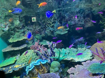 サンシャイン水族館に投稿された画像（2022/2/19）