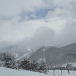 よませ温泉スキー場に投稿された画像（2022/2/19）