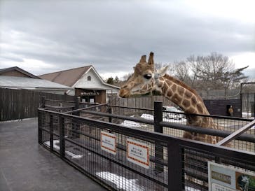 那須サファリパークに投稿された画像（2022/2/19）