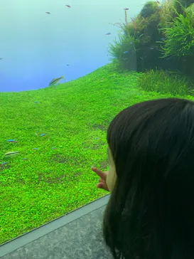 すみだ水族館に投稿された画像（2022/2/19）