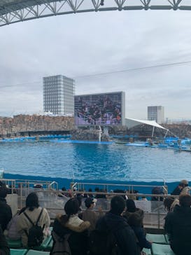 名古屋港水族館に投稿された画像（2022/2/19）