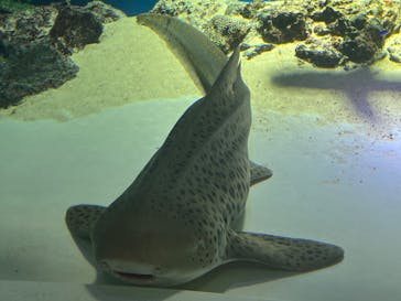 マクセル アクアパーク品川に投稿された画像（2022/2/19）