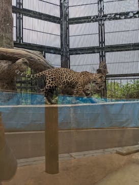 沖縄こどもの国に投稿された画像（2022/2/19）