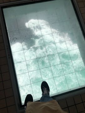 徳島県立 渦の道に投稿された画像（2022/2/19）