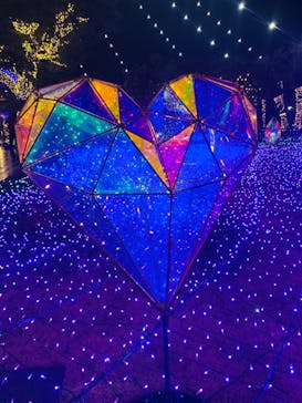 江の島シーキャンドルに投稿された画像（2022/2/19）