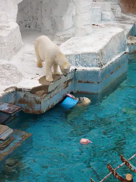 天王寺動物園に投稿された画像（2022/2/19）