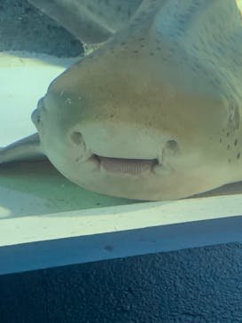 マクセル アクアパーク品川に投稿された画像（2022/2/19）