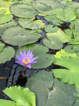 神戸どうぶつ王国に投稿された画像（2022/2/19）