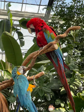 神戸どうぶつ王国に投稿された画像（2022/2/19）