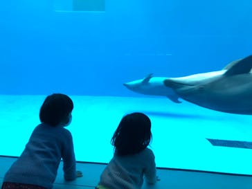 上越市立水族博物館 うみがたりに投稿された画像（2022/2/19）