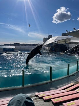 鴨川シーワールドに投稿された画像（2022/2/19）