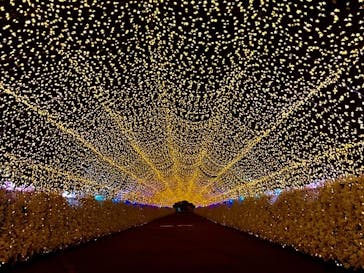 東京メガイルミに投稿された画像（2022/2/20）