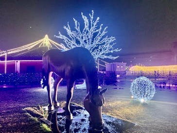 東京メガイルミに投稿された画像（2022/2/20）