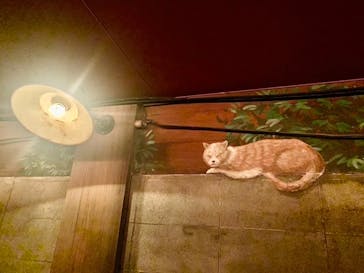 東京メガイルミに投稿された画像（2022/2/20）