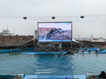 名古屋港水族館に投稿された画像（2022/2/20）