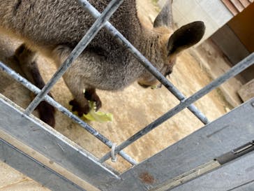 しろとり動物園に投稿された画像（2022/2/20）