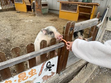しろとり動物園に投稿された画像（2022/2/20）