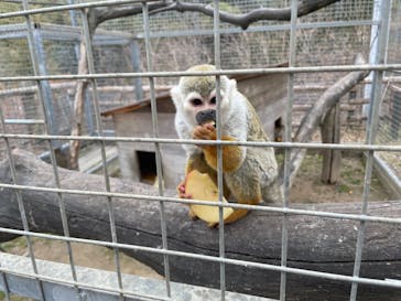 しろとり動物園に投稿された画像（2022/2/20）
