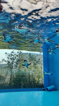 サンシャイン水族館に投稿された画像（2022/2/20）