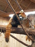 伊豆シャボテン動物公園に投稿された画像（2022/2/20）