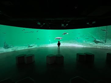 カワスイ 川崎⽔族館に投稿された画像（2022/2/20）