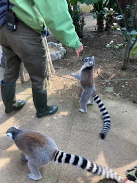 神戸どうぶつ王国に投稿された画像（2022/2/20）