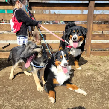 わんダフルネイチャーヴィレッジに投稿された画像（2022/2/20）