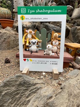 伊豆シャボテン動物公園に投稿された画像（2022/2/20）