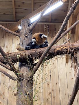 伊豆シャボテン動物公園に投稿された画像（2022/2/20）