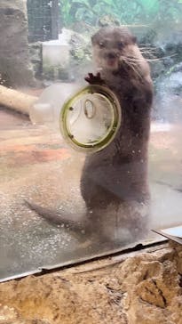 伊豆シャボテン動物公園に投稿された画像（2022/2/20）