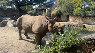 天王寺動物園に投稿された画像（2022/2/20）