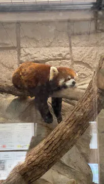 天王寺動物園に投稿された画像（2022/2/20）