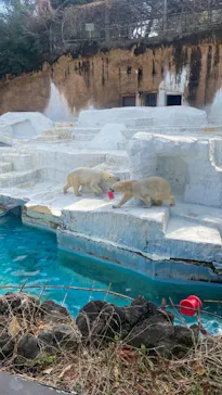 天王寺動物園に投稿された画像（2022/2/20）