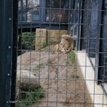 沖縄こどもの国に投稿された画像（2022/2/20）